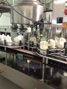 How is milk bottled, how is milk made
